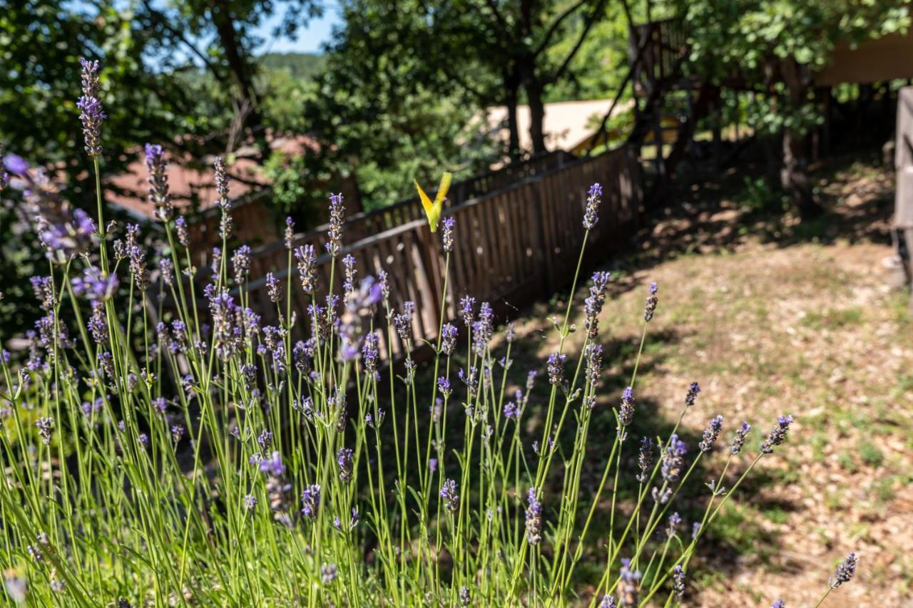 Domaine de Chalvêches Hôtel SPA 4* Faugères in Rhone-Alpes Exterior foto