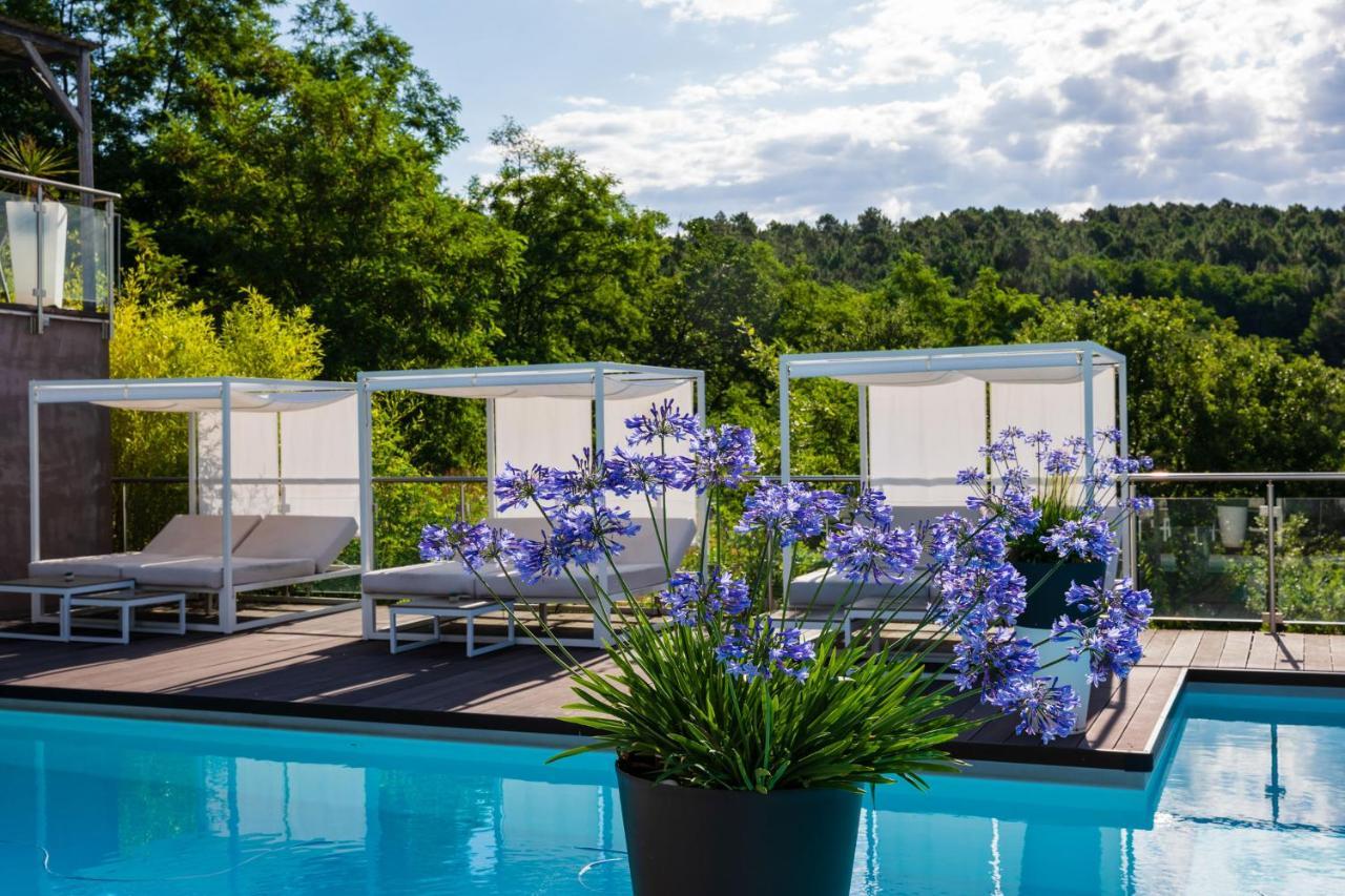 Domaine de Chalvêches Hôtel SPA 4* Faugères in Rhone-Alpes Exterior foto
